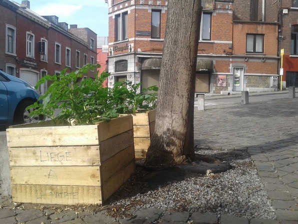 Liège a la patate
