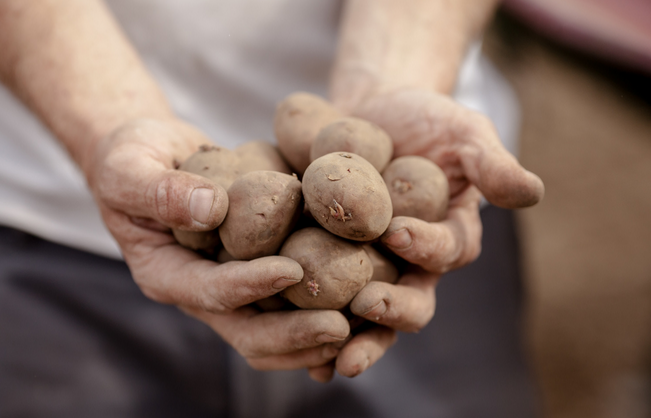 Liège a la patate