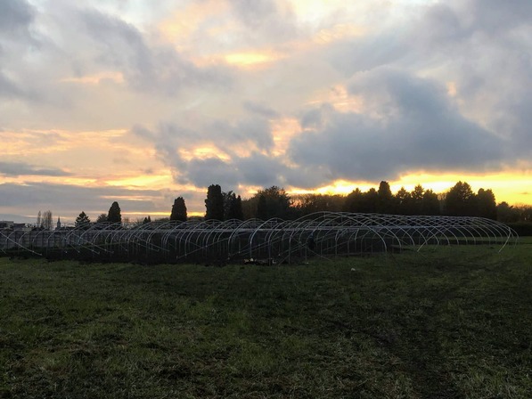 2019 10 CREaFARM Plope Tunnels