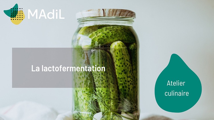 lactofermentation
