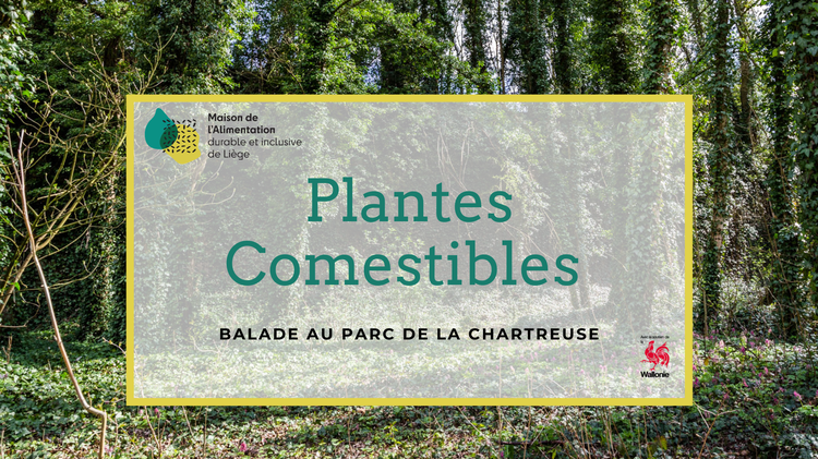 plantes comestibles
