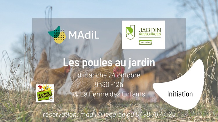poules au jardin