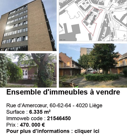 Amercoeur