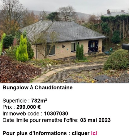Bungalow2