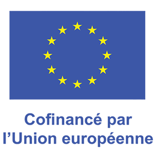 logo fse2