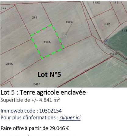 lot 5