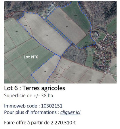 lot 6