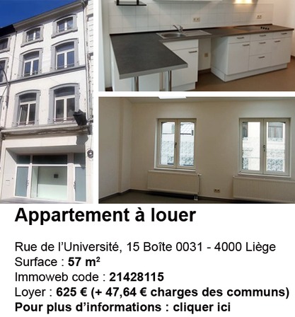 Rue de l'Université Appt