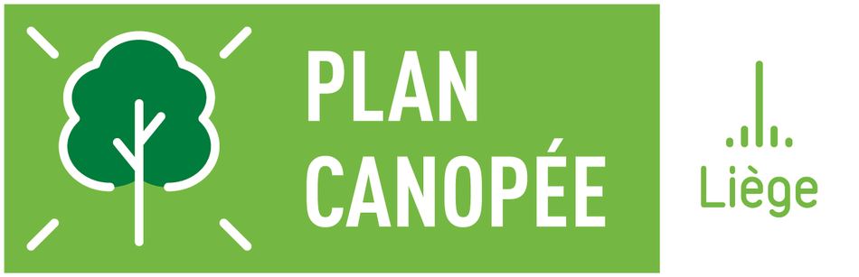 Plan Canopée full size