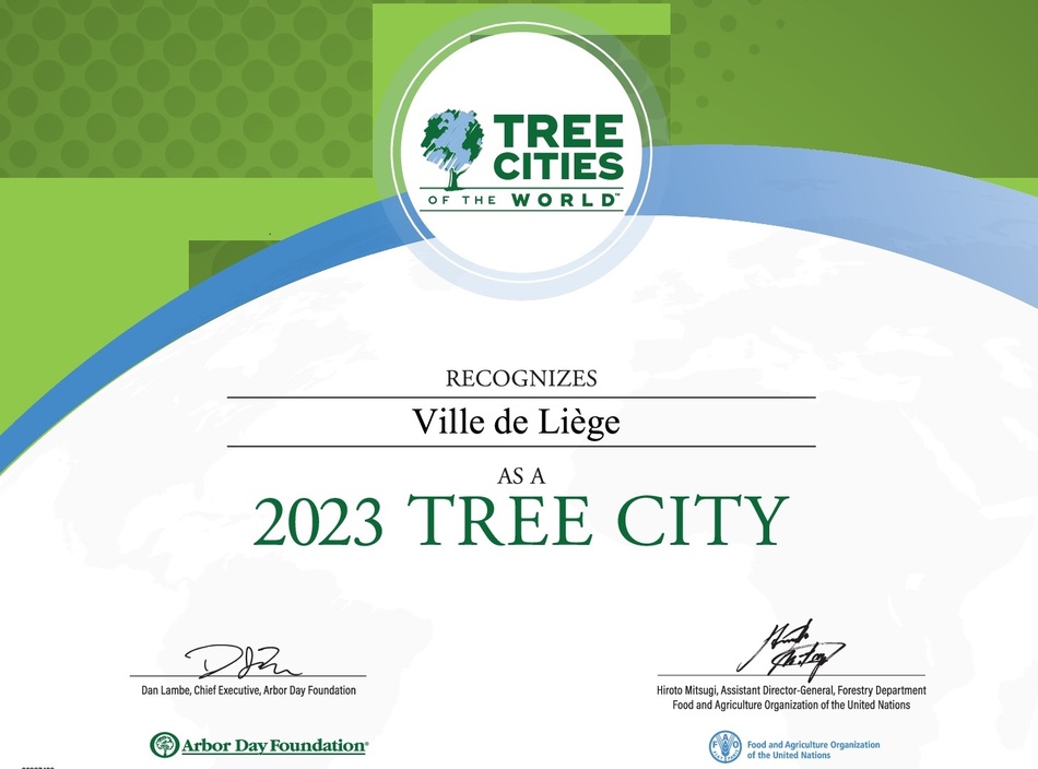 certificat tree cities 2