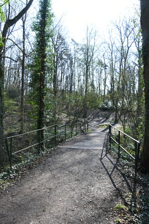 bois_de_fayenbois_2021_04_urbanisme_ville_de_liege-9.jpg