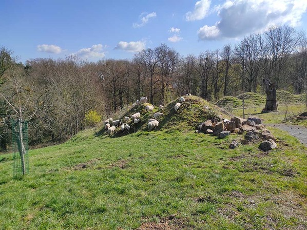 ©Ville de Liège - Emilie Denis
