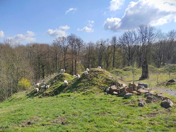 ©Ville de Liège - Emilie Denis