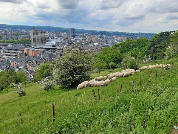 ©Ville de Liège - Fabian Deprez