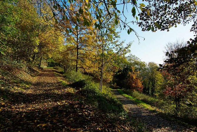 Coteaux: Bois des Carmélites - © Ville de Liège (Tourisme) - M VERPOORTEN