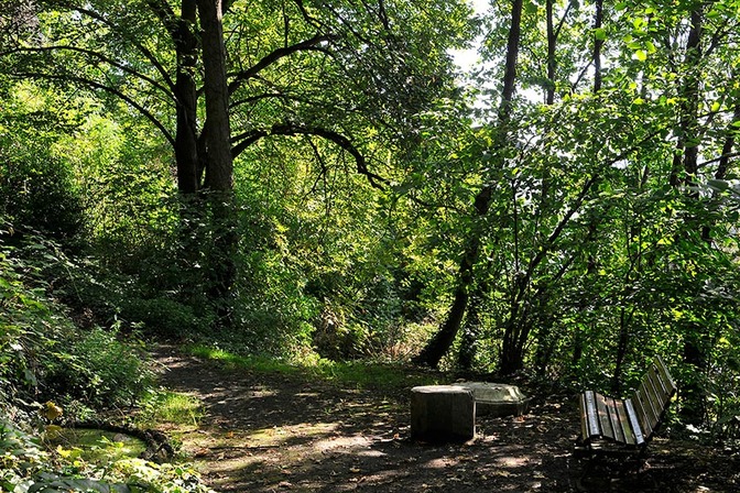 Coteaux: Bois des Mineurs - © Ville de Liège (Tourisme) - M VERPOORTEN