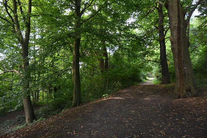 Coteaux de la citadelle -  © Ville de Liège (Urbanisme) - J-P ERS