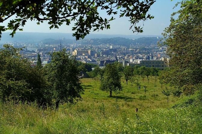 Coteaux: Favechamps - © Ville de Liège (Tourisme) - M VERPOORTEN