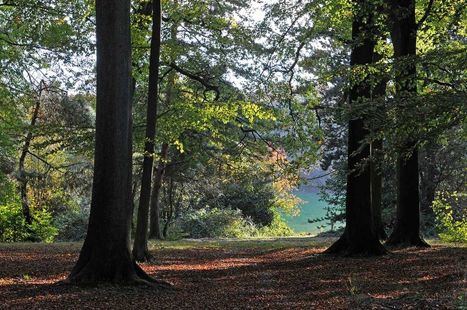 Domaine du Sart-Tilman: Bois de Colonster - © Ville de Liège (Tourisme) - M VERPOORTEN