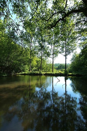 Domaine du Sart-Tilman: étang du Blanc gravier - © Ville de Liège (Tourisme) - M VERPOORTEN