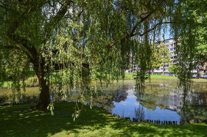 Jardin botanique - © Ville de Liège (Communication) - J THONON