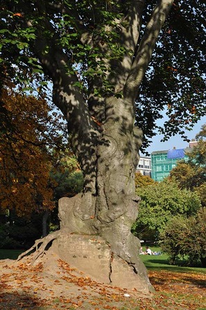 Jardin botanique - © Ville de Liège (Urbanisme) - J-P ERS