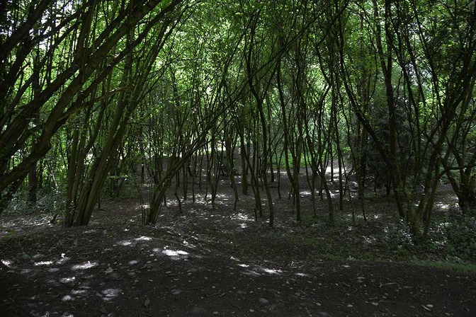Parc Comhaire - © Ville de Liège (Urbanisme) - J-P ERS