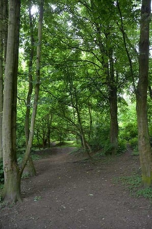 Parc Comhaire - © Ville de Liège (Urbanisme) - J-P ERS