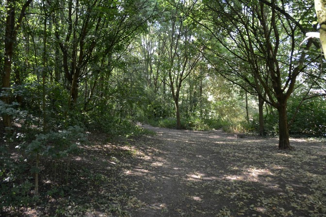 Parc de la Paix © Ville de Liège - Urbanisme - Jean-Pierre ERS