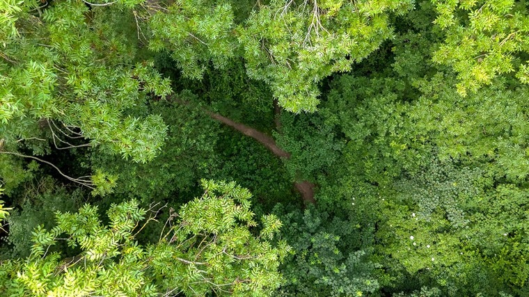 réserve naturelle du bois de wandre