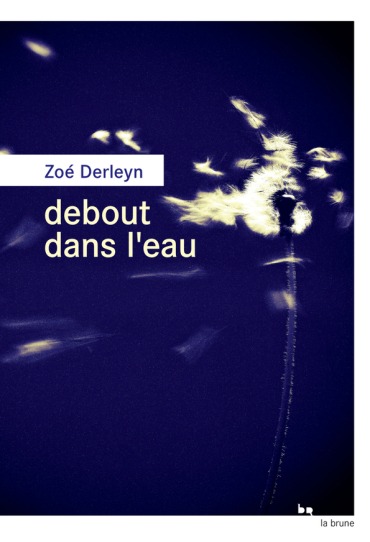 Première de couverture du roman Debout dans l’eau de Zoé Derleyn