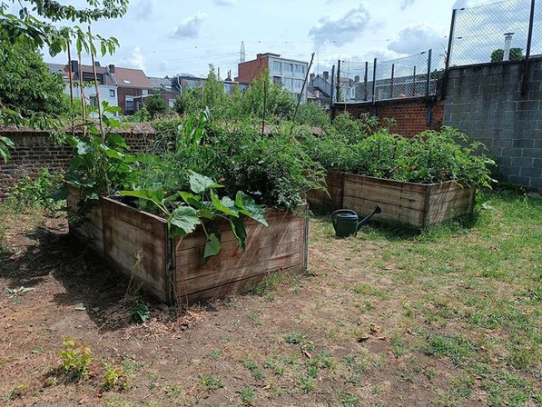 Le nouveau jardin communautaire de Kinkempois