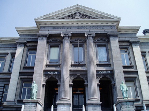 Extérieur Aquarium Muséum Contre plongée Façade ©ULG