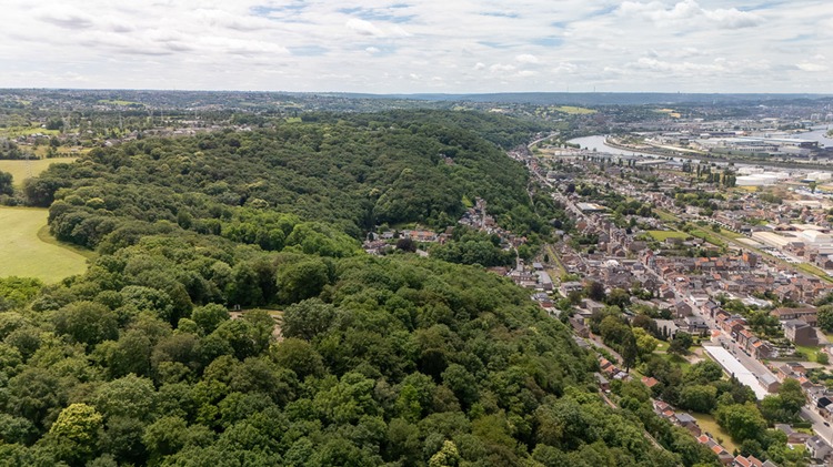 Réserve naturelle du bois de Wandre © Ville de Liège