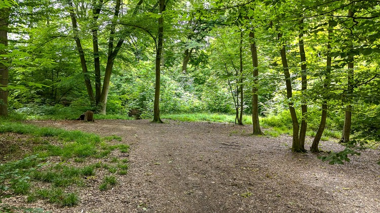 Réserve naturelle du bois de Wandre © Ville de Liège