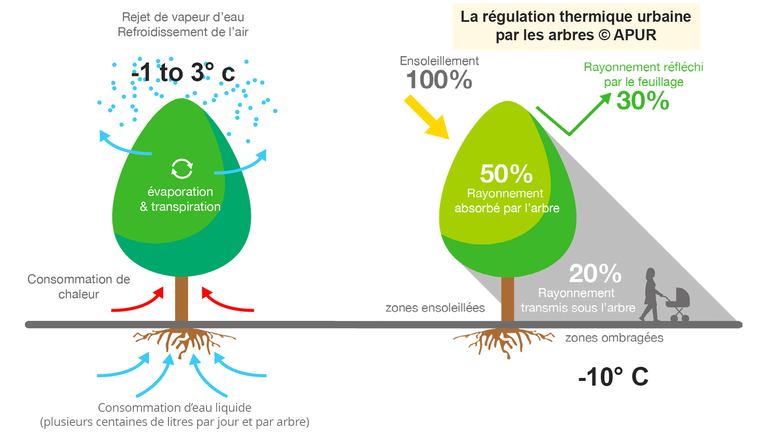 Source: d’après les Ateliers parisiens de l’urbanisme