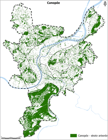 Canopée : strate arborée
Source: ISSeP - UcLouvain, 2021