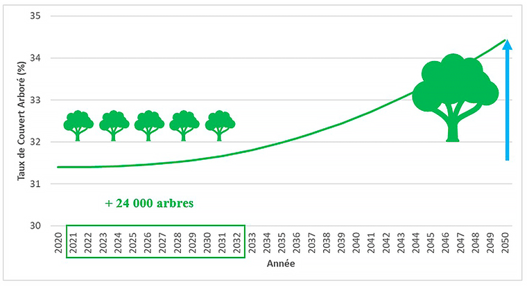 Évolution du taux de couvert arboré de Liège de 31% en 2021 à 34% en 2050.