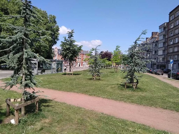 Avenue Albert Mahiels © Ville de Liège - Thomas HALFORD