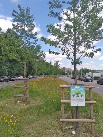 Boulevard Frère Orban © Ville de Liège - Thomas HALFORD