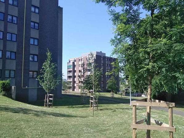 Cité Freddy Terwagne © Ville de Liège - Thomas HALFORD