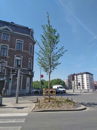 Rue du Marché © Ville de Liège - Thomas HALFORD