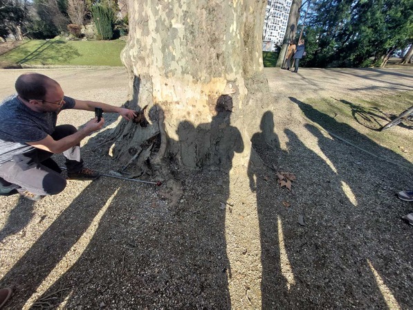 Passeurs d'arbres du Plan Canopée