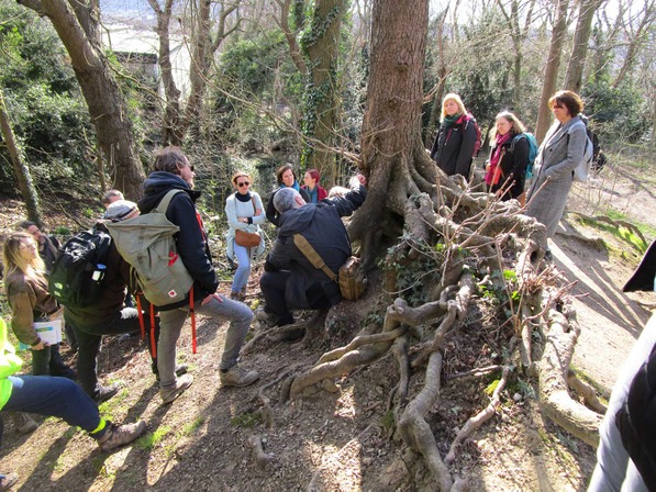 Passeurs d'arbres du Plan Canopée